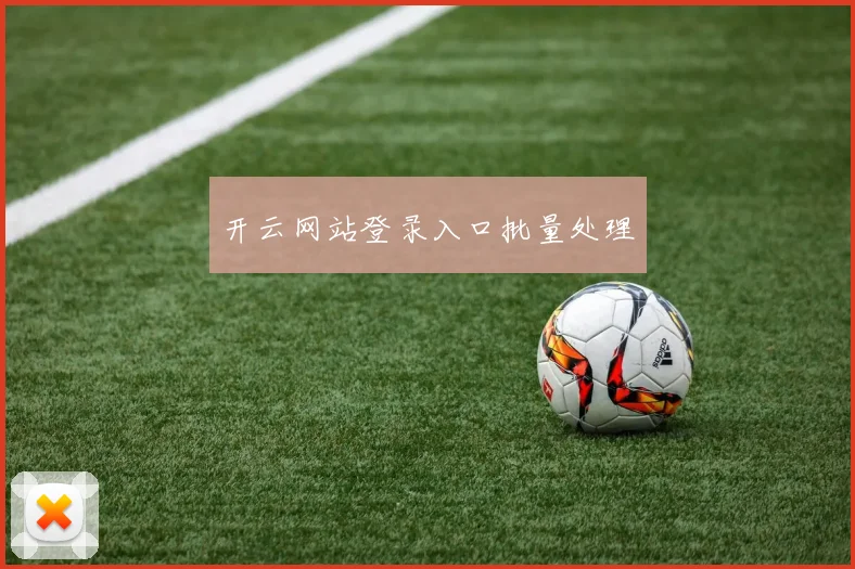开云网站登录入口批量处理