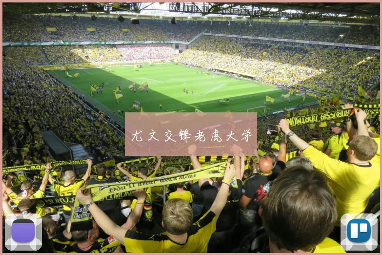 尤文交锋老虎大学