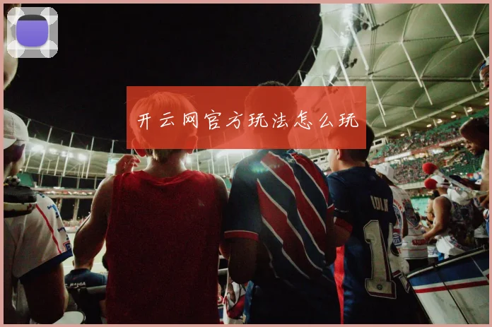 开云网官方玩法怎么玩