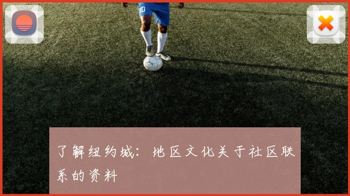 了解纽约城：地区文化关于社区联系的资料